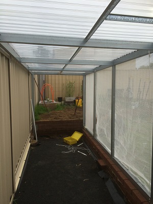 IMG_1111 resized.jpg