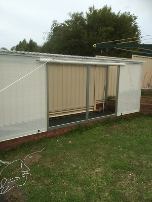 IMG_1110 Resized.jpg