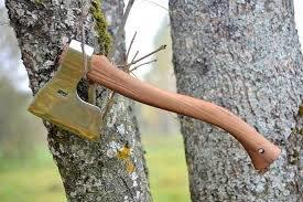 Butchers axe Autin.jpg