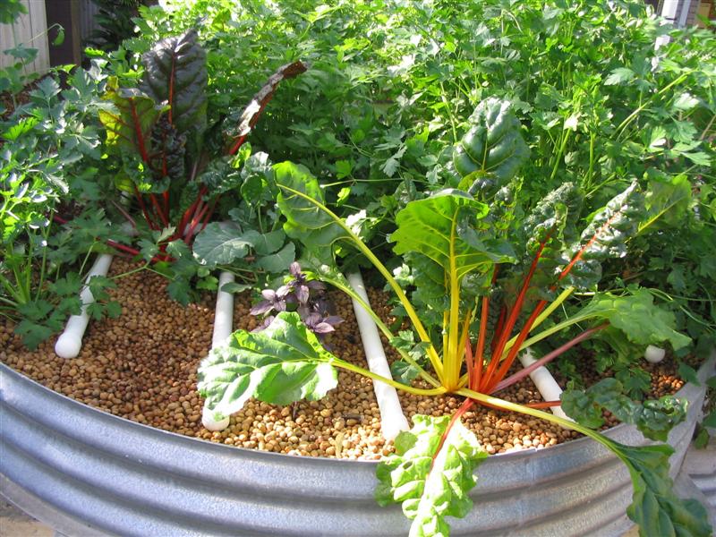 IMG_1797 (Medium).jpg