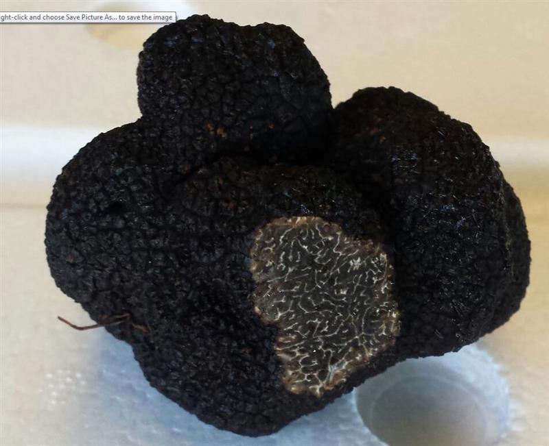 Capture (Custom).JPG