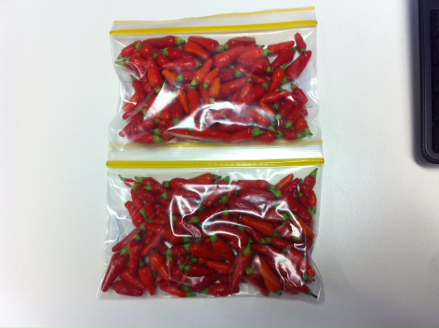 Chillies.jpeg