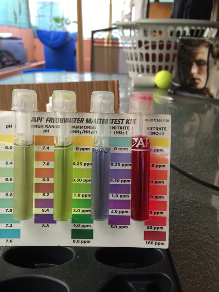 IMG_1119 resized.jpg