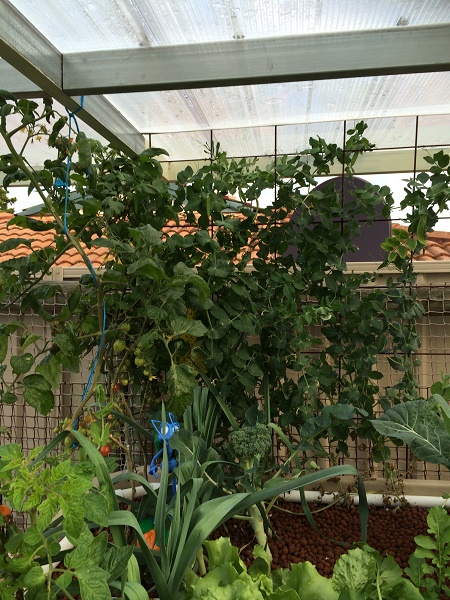 IMG_1120 resized.jpg