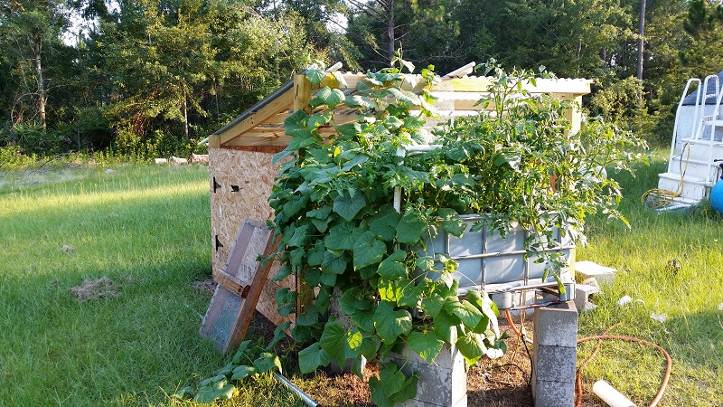 2014-07-09 19.11.49.jpg