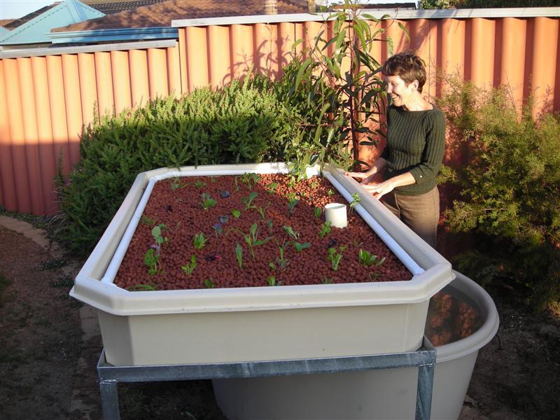 DSCN0283 (Medium).JPG