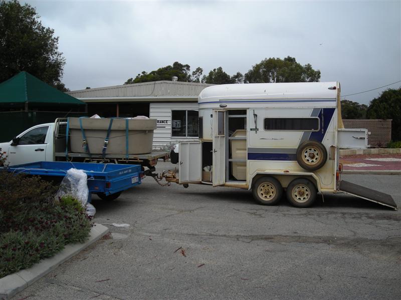 DSCN0261 (Medium).JPG