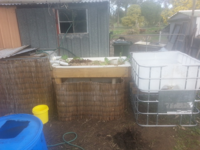 20140713_121042 (640x480).jpg