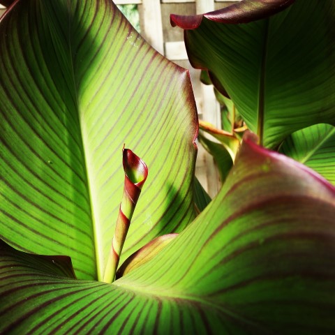 Samsung new phone July 463 (Small).jpg