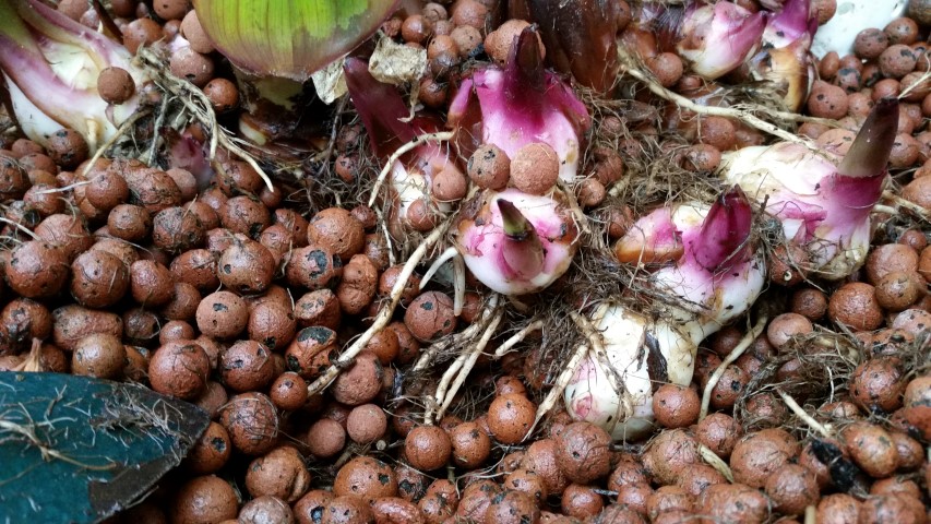 Samsung new phone July 446 (Small).jpg