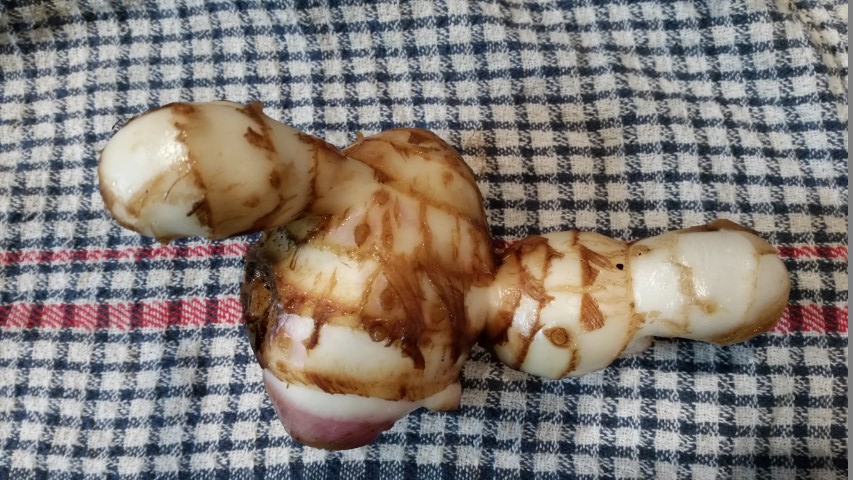 Samsung new phone July 454 (Small).jpg