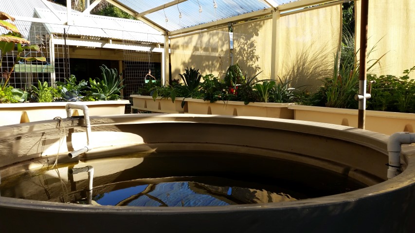 Samsung new phone July 345 (Small).jpg