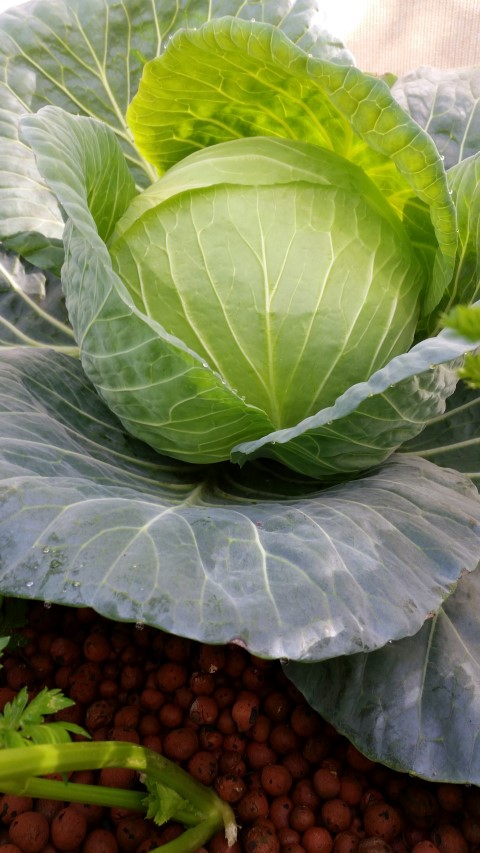 Samsung new phone July 357 (Small).jpg