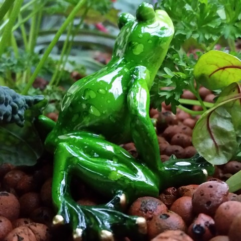 Samsung new phone July 480 (Small).jpg