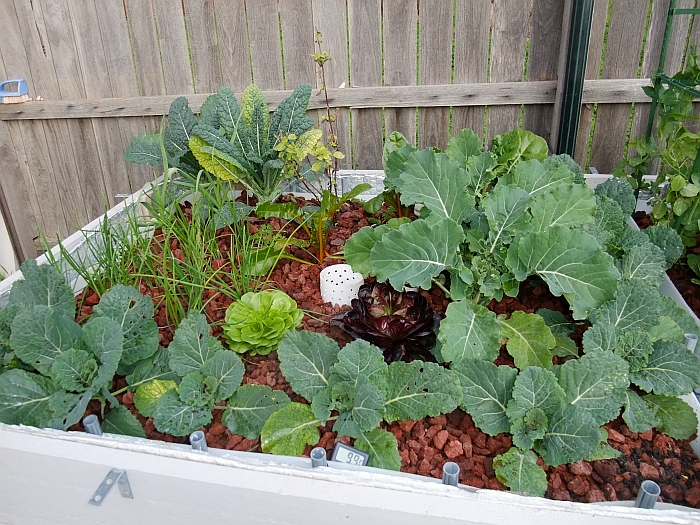 Growth to 14th July 2014.jpg