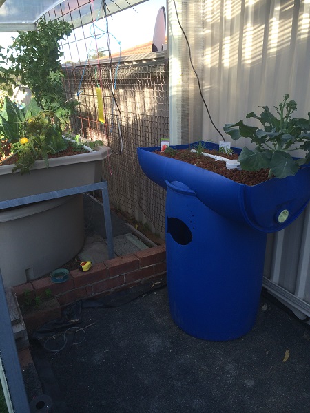 IMG_1130 resized.jpg