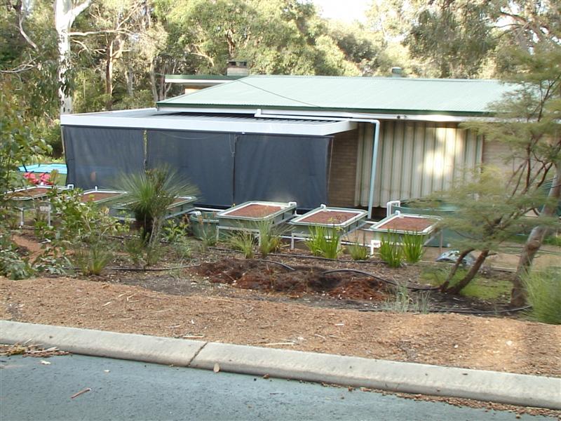 DSC00150 (Medium).JPG