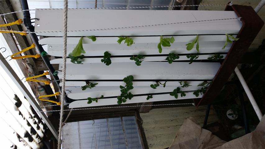 2014-07-13 16.32.10 (Small).jpg