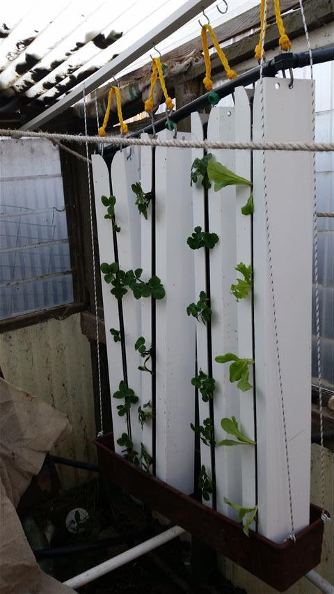 2014-07-13 16.32.10 (Small).jpg