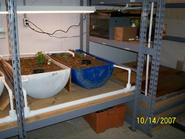 100_0271 (Small).jpg