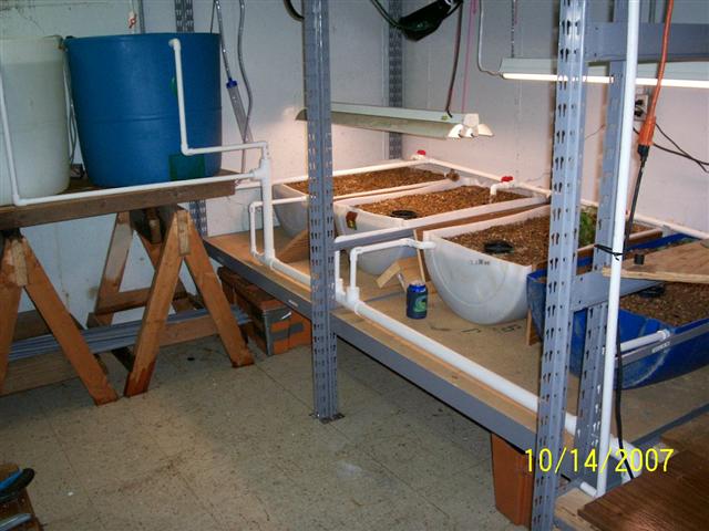 100_0284 (Small).jpg