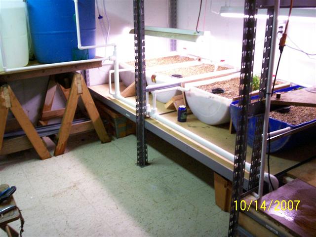 100_0283 (Small).jpg