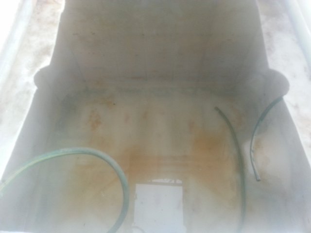 20140721_170314 (640x480).jpg