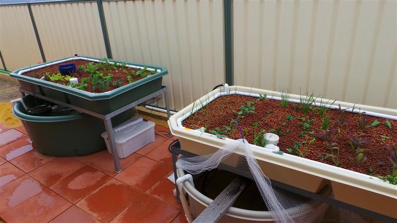 20140716_025815 (Medium).JPG