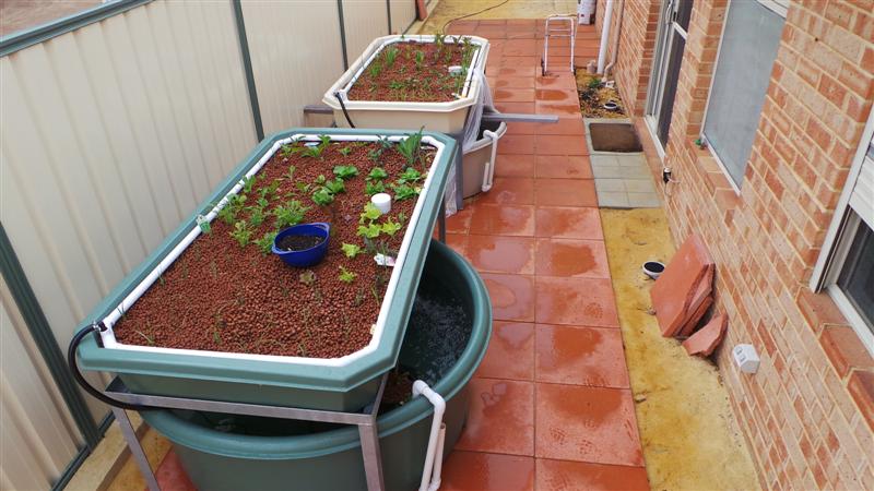 20140716_025554 (Medium).JPG