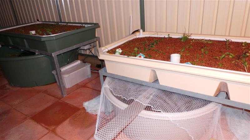 20140616_103051 (Medium).JPG