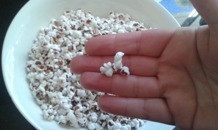 popped sorghum.jpg