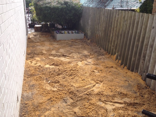 IMG_0163 (Small).JPG