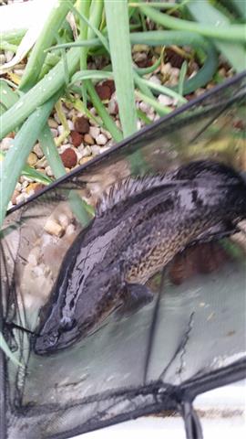 2014-07-25 09.33.12 (Small).jpg