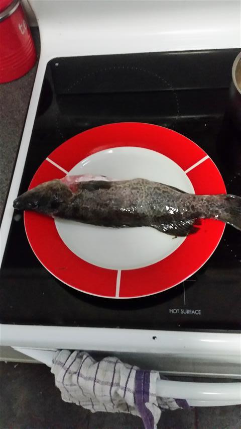 2014-07-25 09.45.56 (Small).jpg