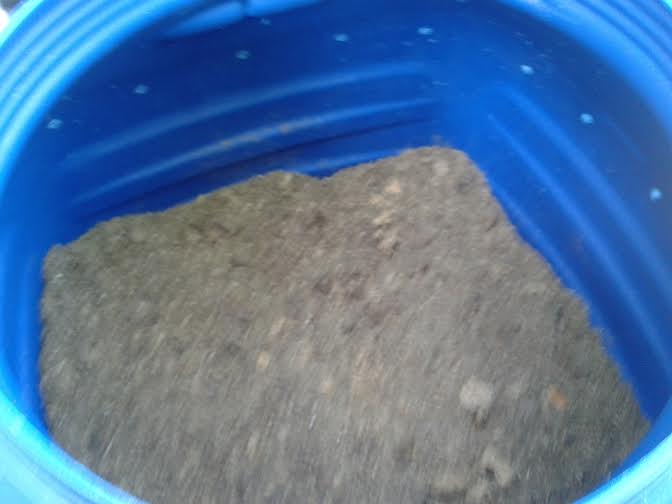 worm bin 2.jpg