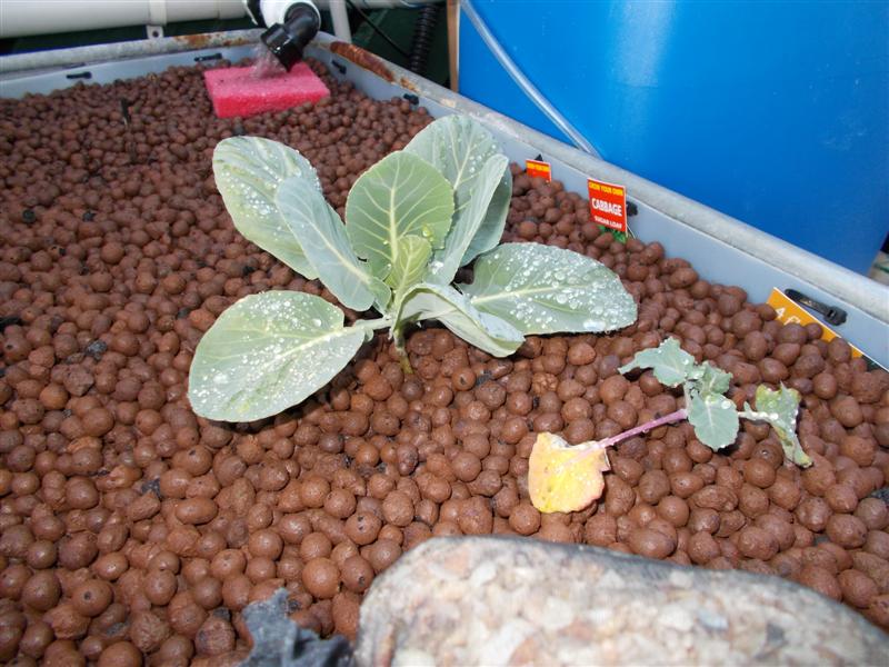 Picture 005 (Medium).jpg