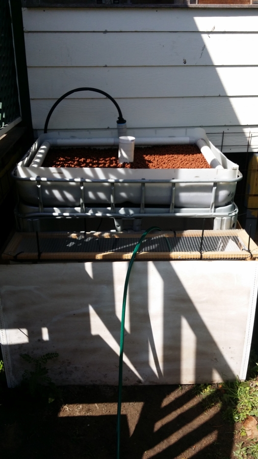 2014-08-03 13.33.31.jpg