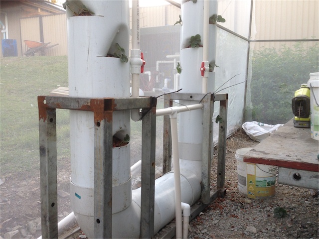 Strawberry Towers 06.08.14_003.jpeg