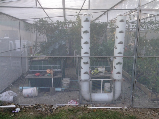 Strawberry Towers 06.08.14_002.jpeg