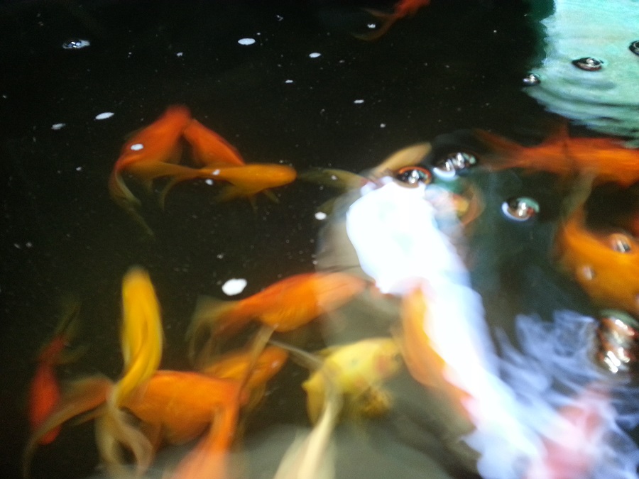 2014-08-08 13.23.53 - Copy.jpg