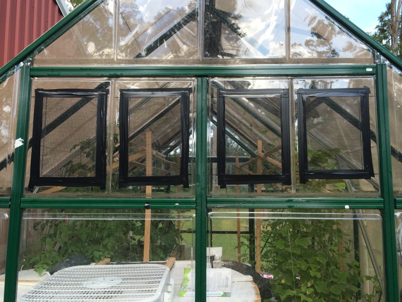 mesh vent resized.jpg