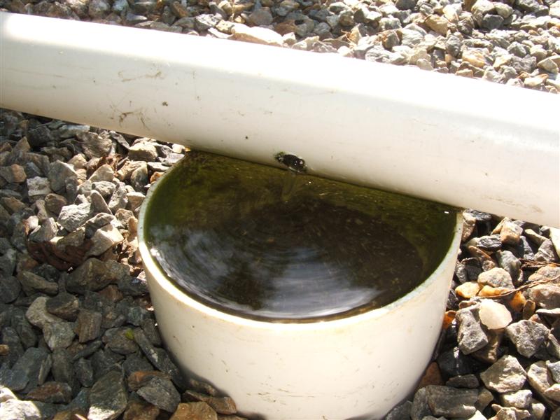 DSCF4495 (Medium).JPG