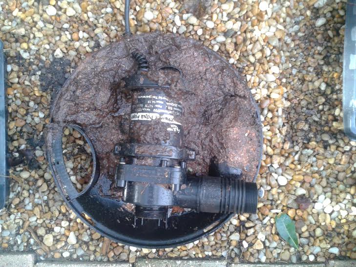 pump-clogged.jpg