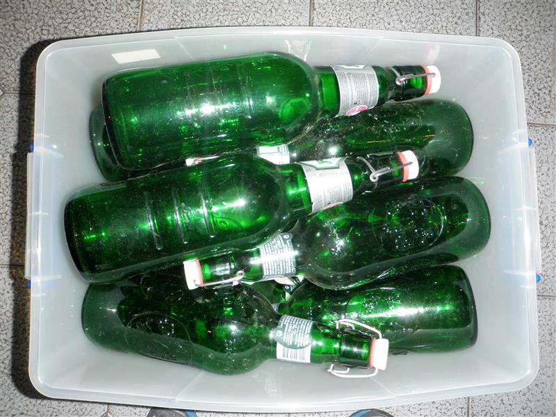 P1010017 (Custom).JPG