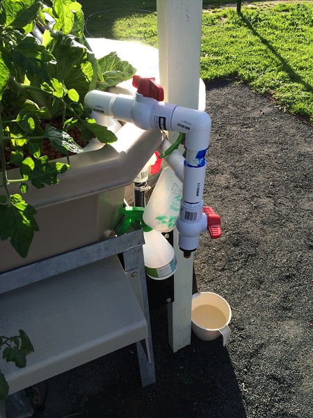 IMG_1167 resized.jpg