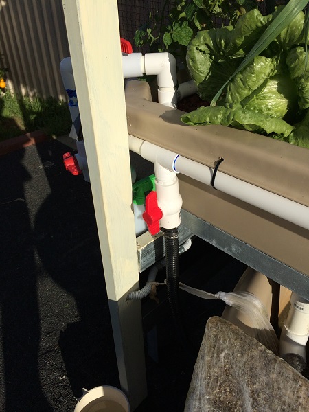 IMG_1168 resized.jpg