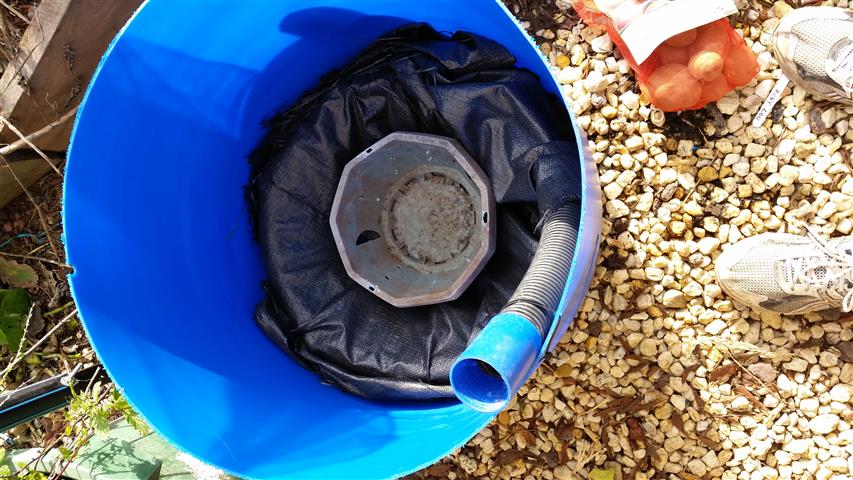 2014-07-27 14.56.35 (Small).jpg