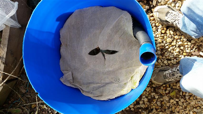 2014-07-27 15.04.15 (Small).jpg