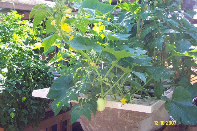 october2007 036 640.JPG