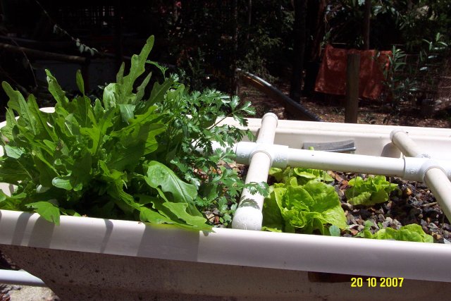 october2007 061 640.JPG